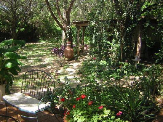 Casa Del Sol Bed And Breakfast Lakeway Kamer foto