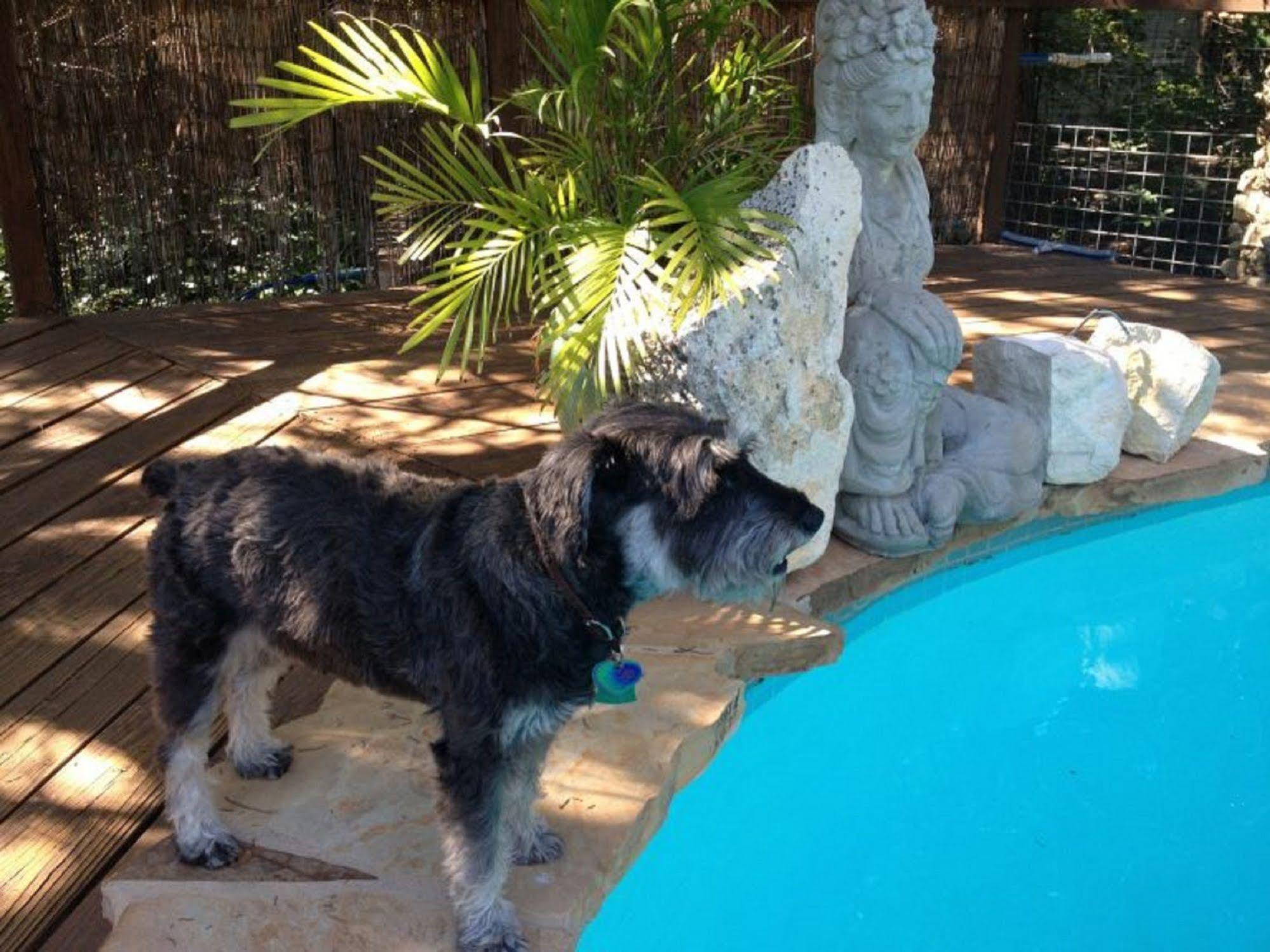 Casa Del Sol Bed And Breakfast Lakeway Buitenkant foto